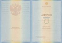 Диплом о высшем образовании с 2009 по 2010 год