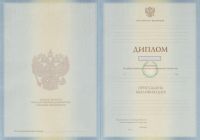 Диплом института 2011 год