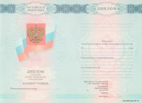 Диплом колледжа с 2008 по 2010 год